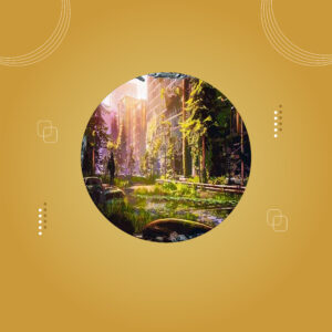 حجر دائري صغير